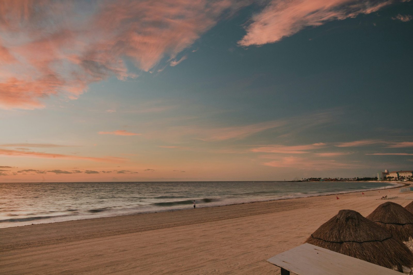 luis-cortes-NpN27Ood2c8-unsplash